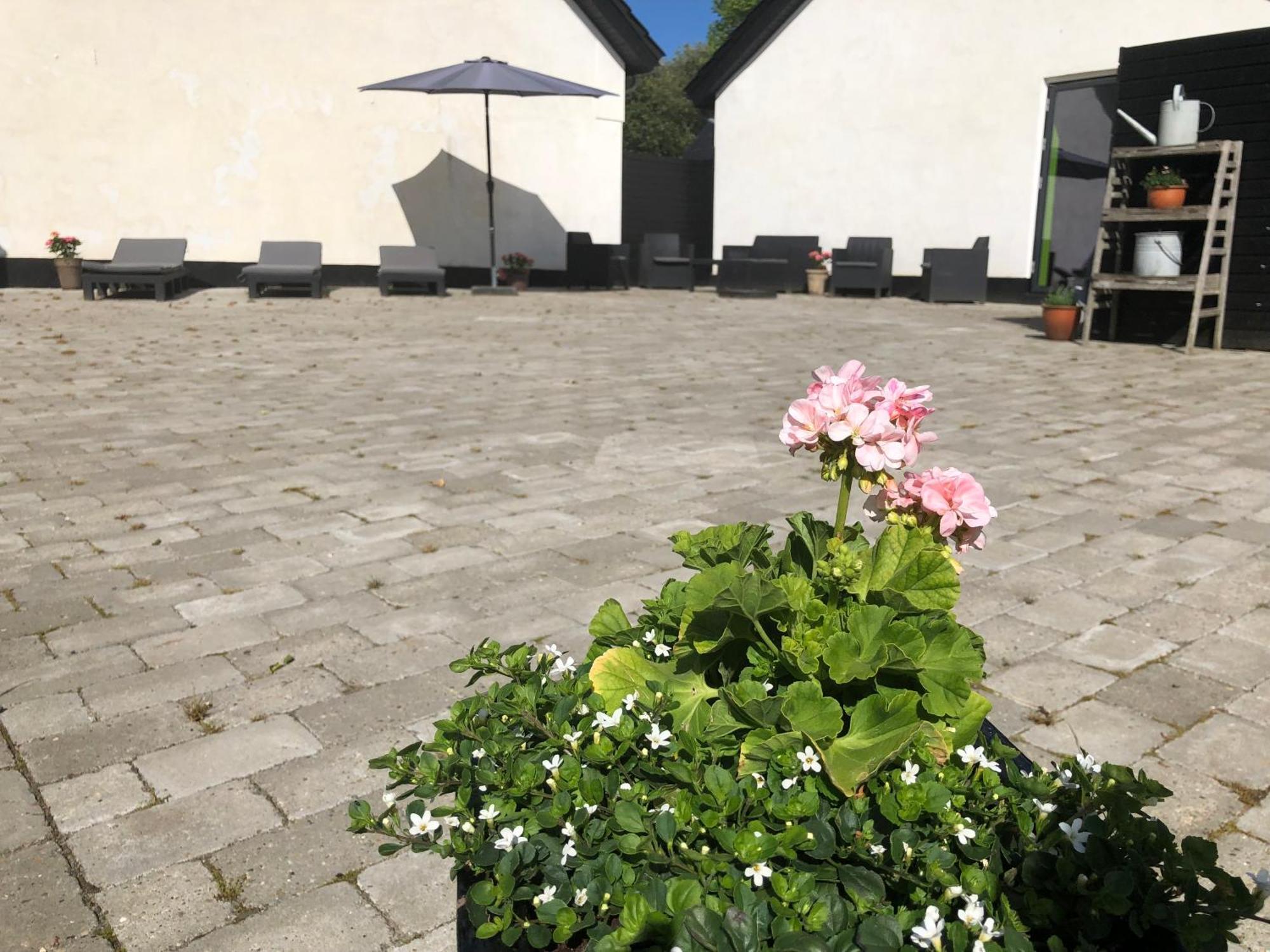 Pensjonat The Barn Give Zewnętrze zdjęcie